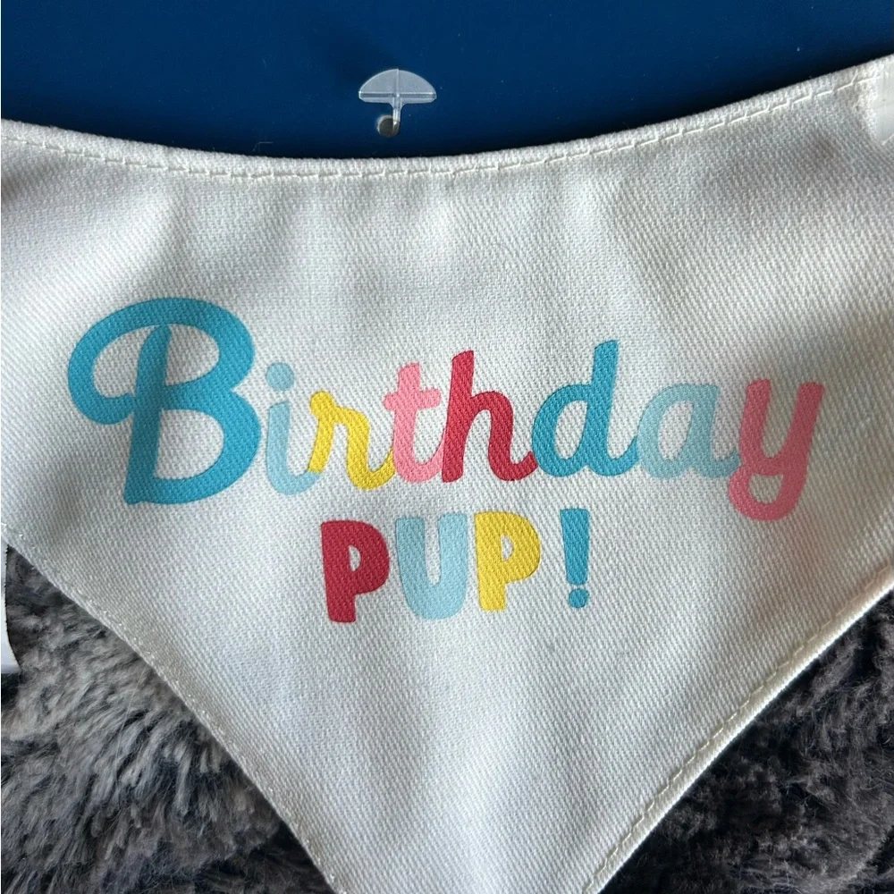 Birthday cupcake dog toy bandana set NEW